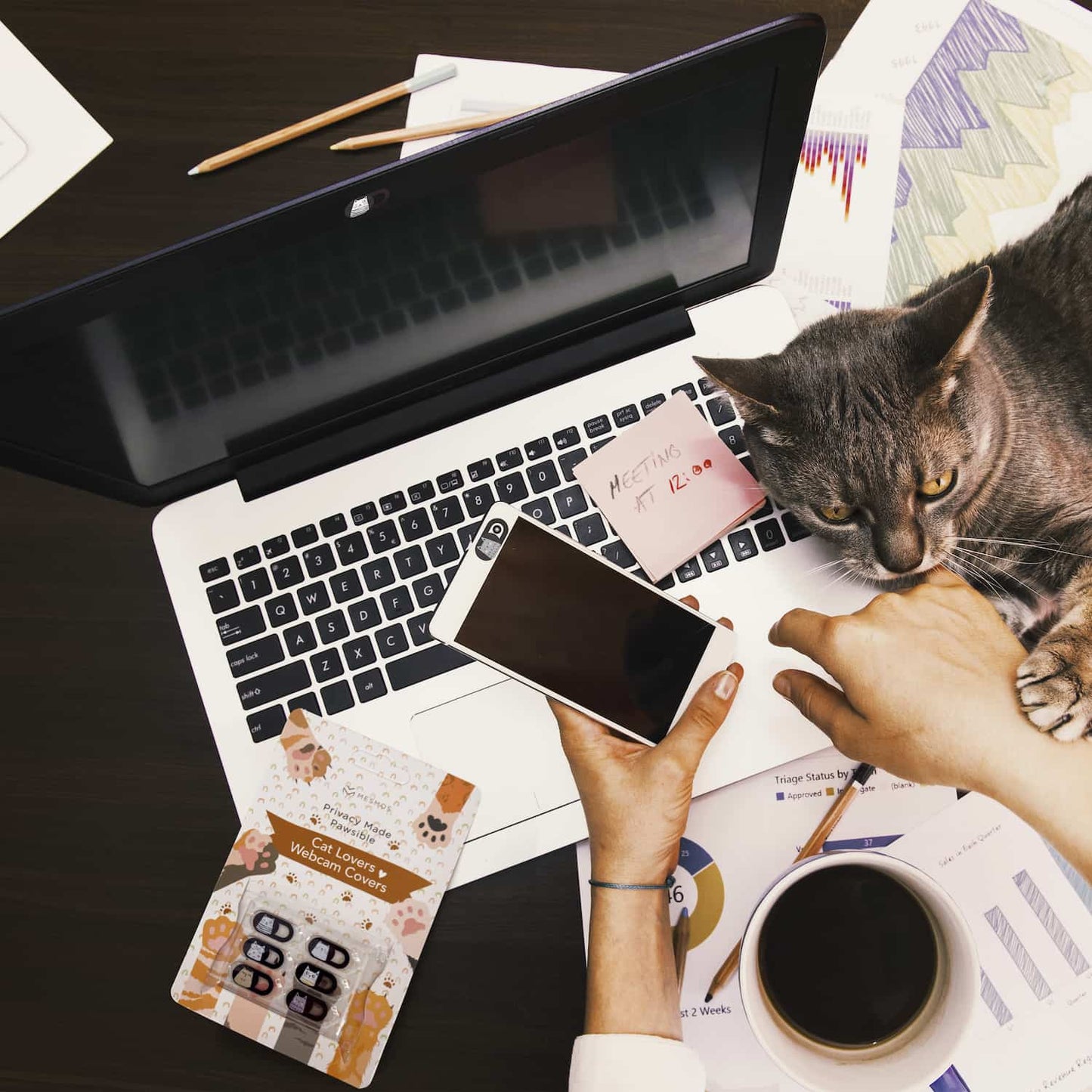 Cat Lovers Webcam Covers