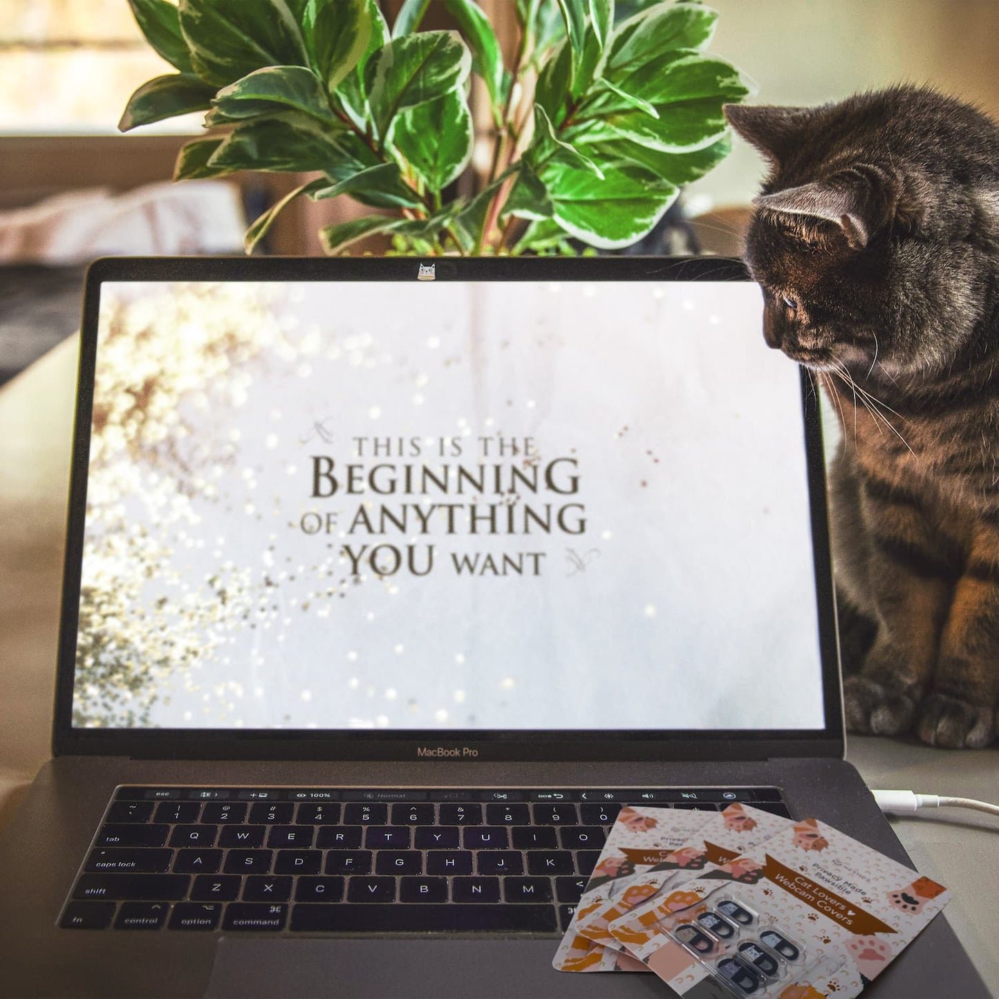 Cat Lovers Webcam Covers