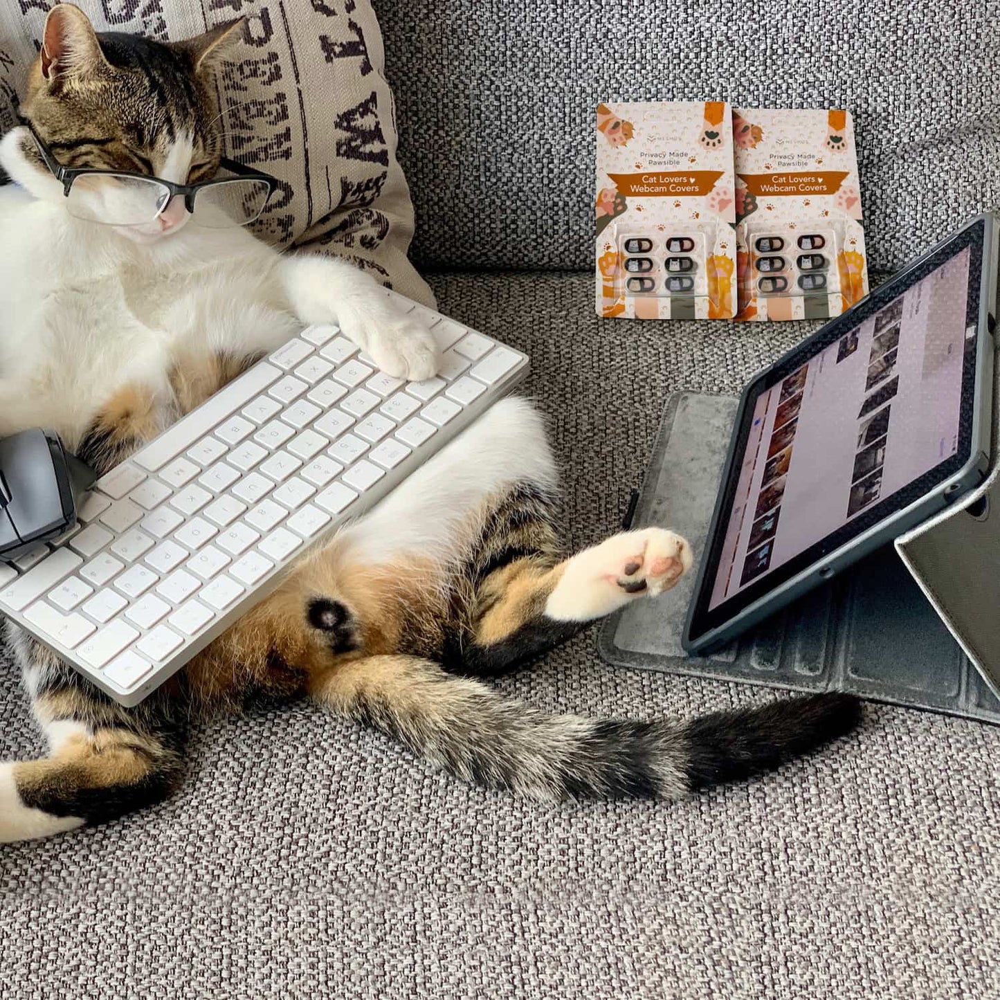 Cat Lovers Webcam Covers