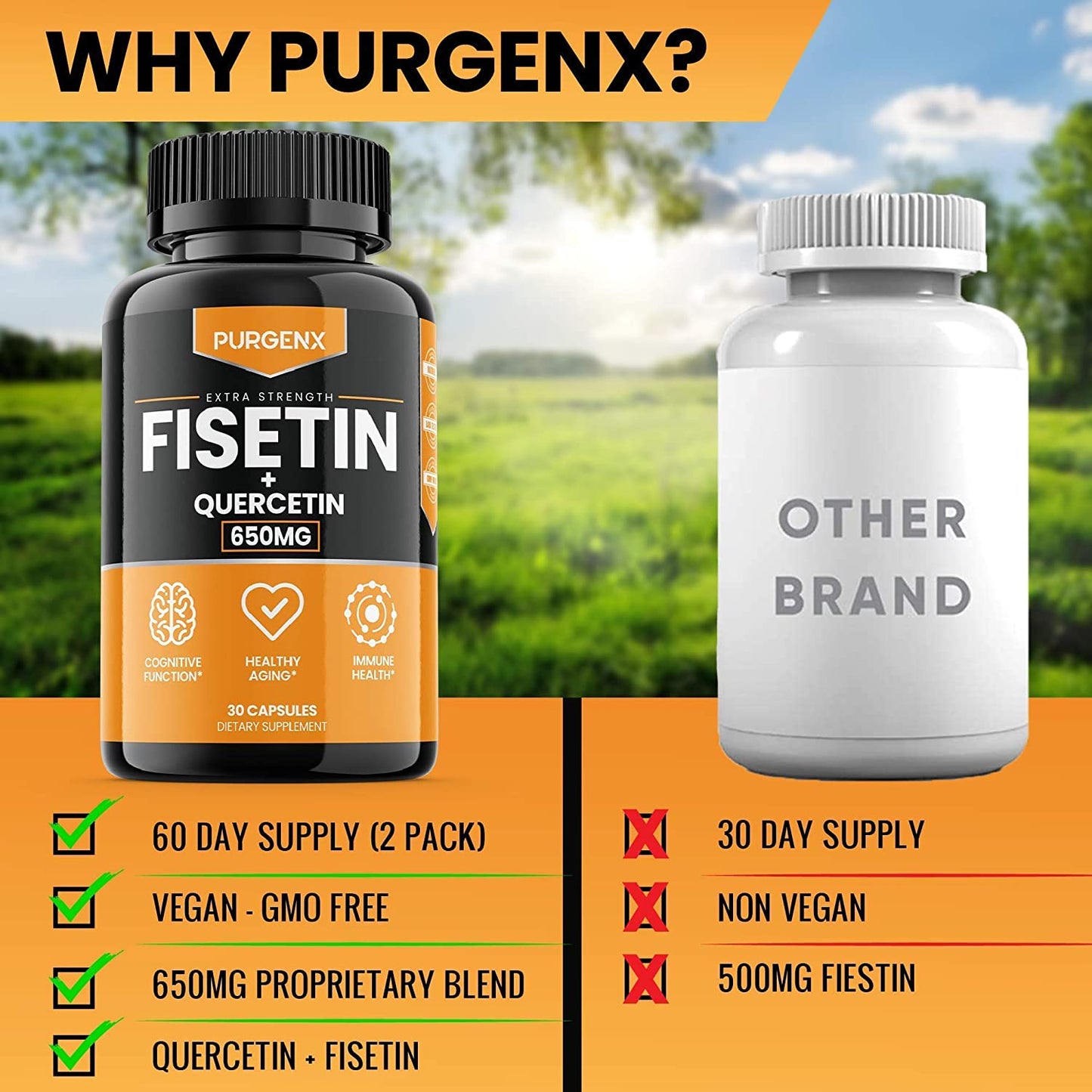 (60 Capsules | 650mg) Fisetin with Quercetin 650mg